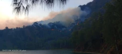 95 Persen Karhutla Kawasan Hutan BTNG Rinjani Berhasil Dipadamkan